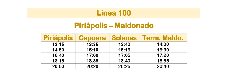 Linea 100 Micro Ltda