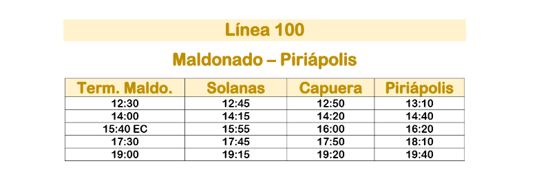 Linea 100 Micro Ltda