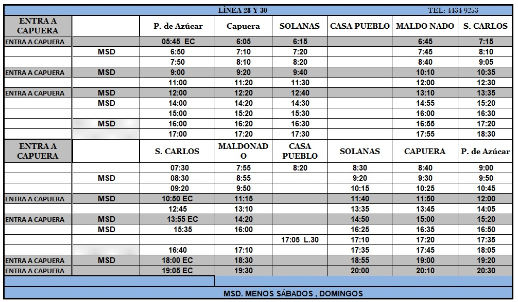 Linea 28 Guscapar