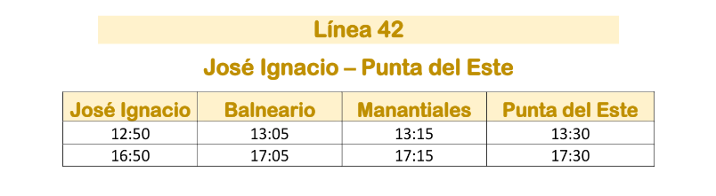 Linea 42 Micro Limitada