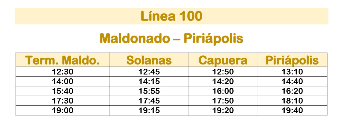 Linea 100 Micro Limitada