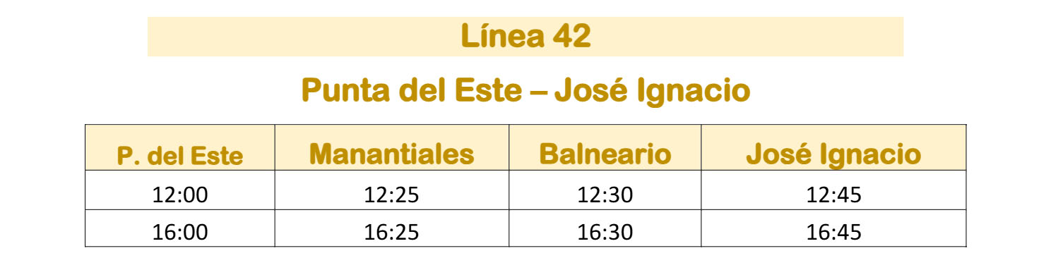 Linea 42 Micro Limitada