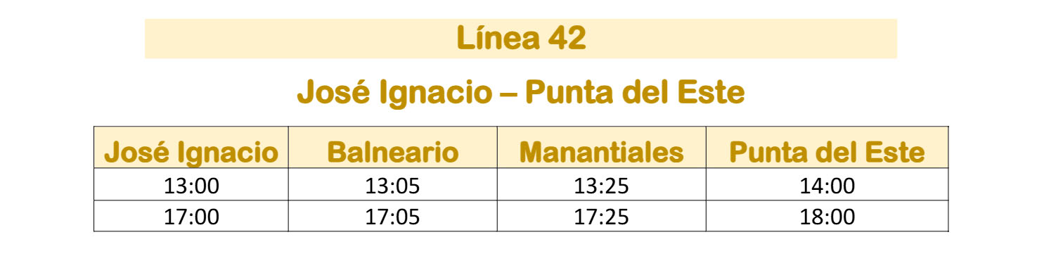 Linea 42 Micro Limitada