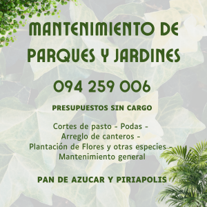 Jardines