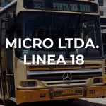 Micro Ltda – Línea 18