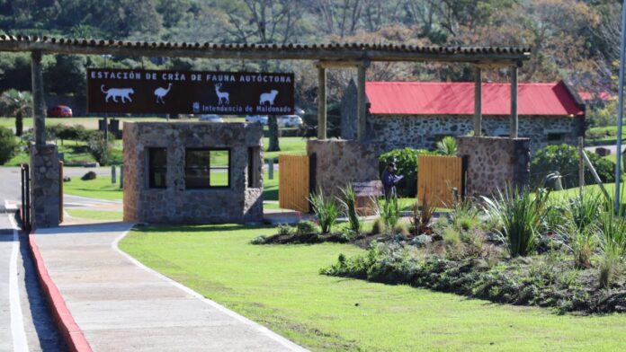 ECFA Abierta Todos los Días Durante las Vacaciones