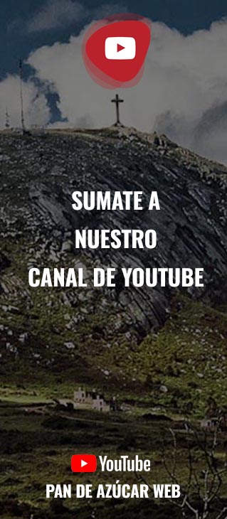 spot_img