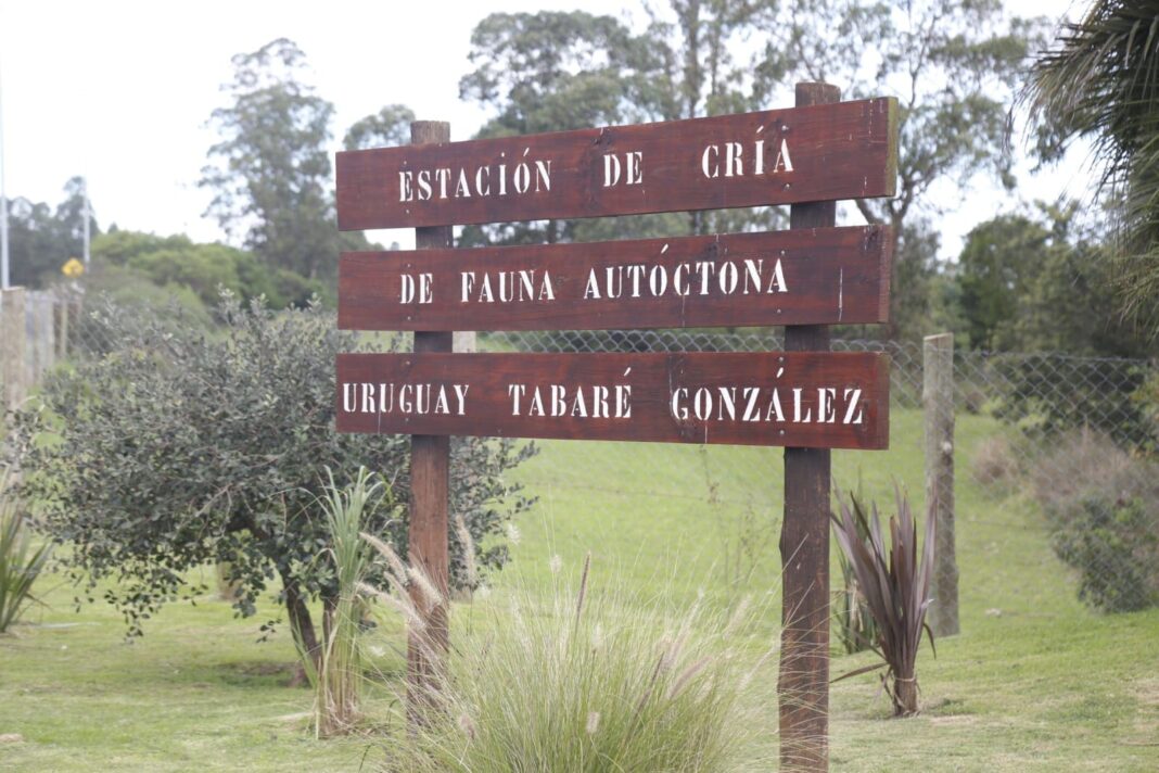 ecfa reinauguracion (11)_0