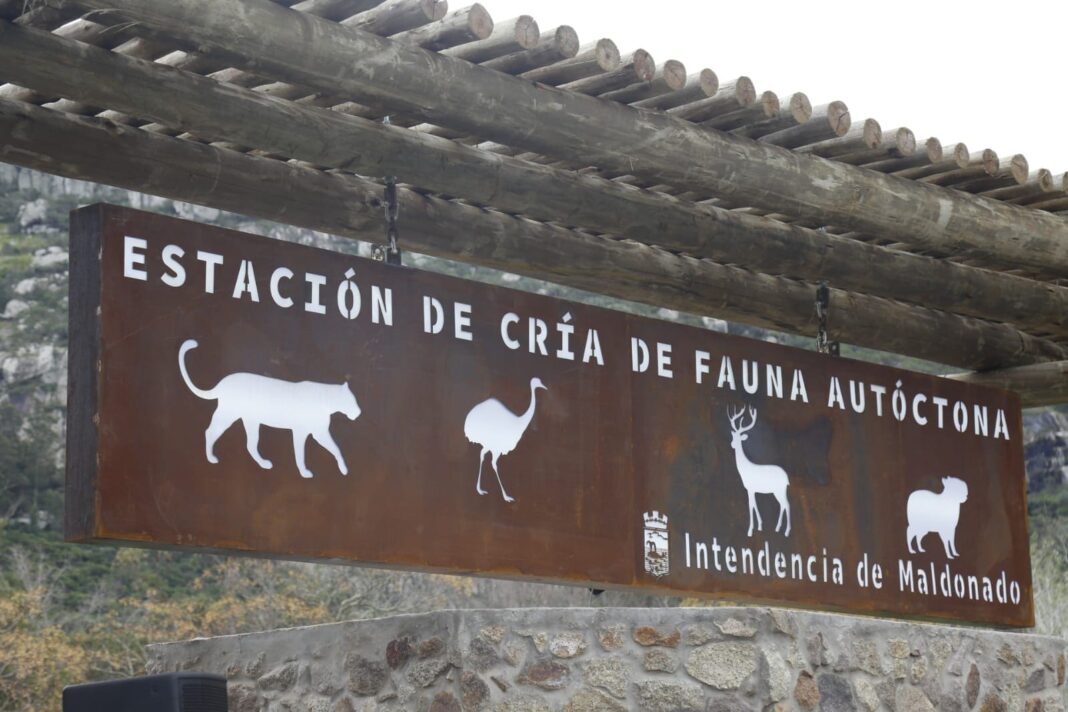 ecfa reinauguracion (17)_0