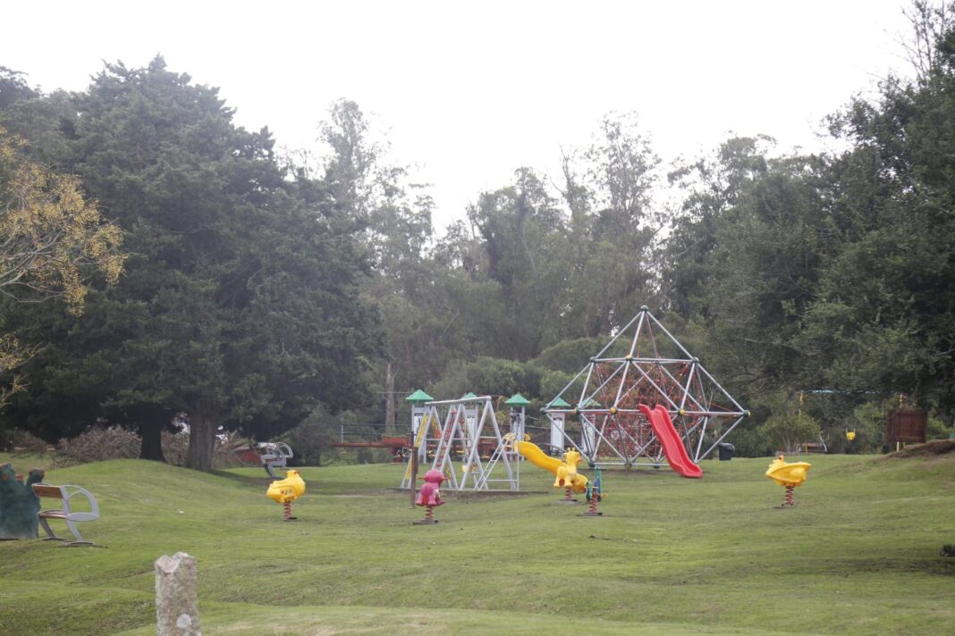 ecfa reinauguracion (1)_0