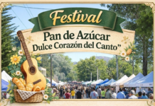 ¡Artistas y Emprendedores, Prepárense para Brillar en el Dulce Corazón del Canto!