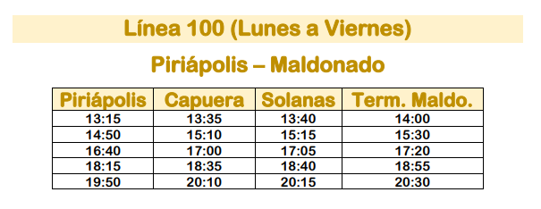 Linea 100 Micro Ltda