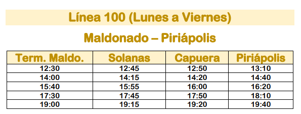 Linea 100 Micro Ltda