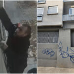 Vandalismo y arte urbano: penas y acciones legales en debate