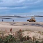 IDM dio inicio a la apertura excepcional de la desembocadura del arroyo Tarariras