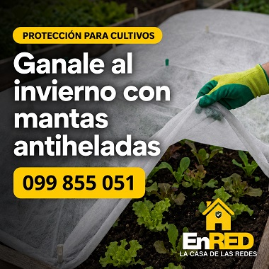 Mantas Antiheladas