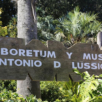 Actividades gratuitas para las vacaciones de invierno en Maldonado