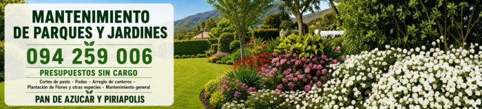 Mantenimiento de Jardines