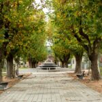 Inscripciones abiertas para cursos gratuitos en Aiguá hasta el miércoles