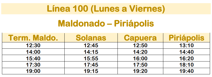 Linea 100 Micro Ltda