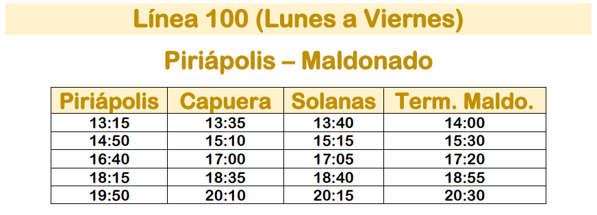 Linea 100 Micro Ltda