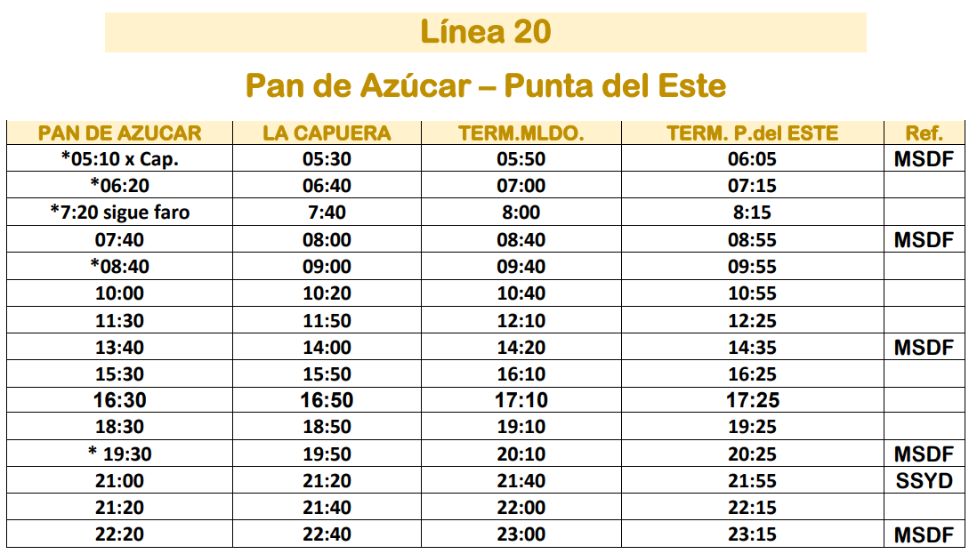 Linea 20 Micro Ltda
