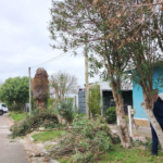 Inicio de la campaña de podas en Pan de Azúcar