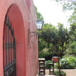 Actividades gratuitas en Arboretum Lussich durante las vacaciones de setiembre