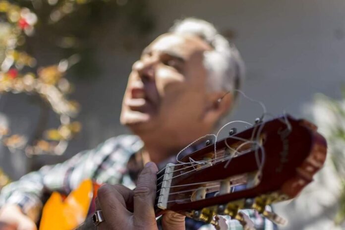 Concierto de Walter Pedroso en el Arboretum Lussich