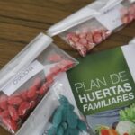 Entrega de Semillas de Primavera-Verano: Plan de Huertas Familiares