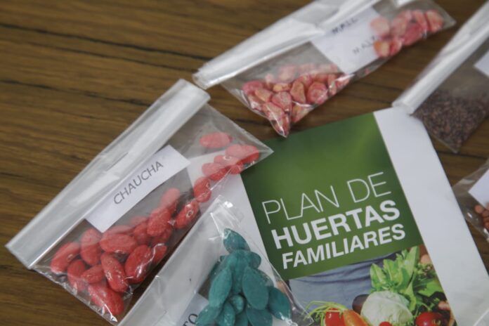Entrega de Semillas de Primavera-Verano: Plan de Huertas Familiares