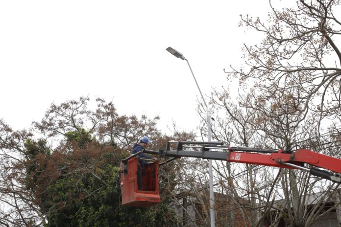 Instalación de 128 luminarias LED en Maldonado