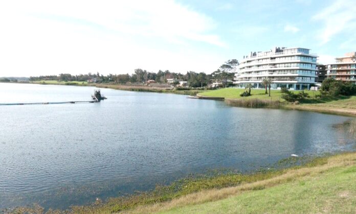 Proyecto para la Protección de la Laguna del Diario en Maldonado